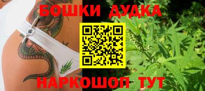 тгк Будённовск