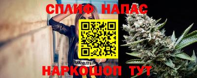 тгк Будённовск